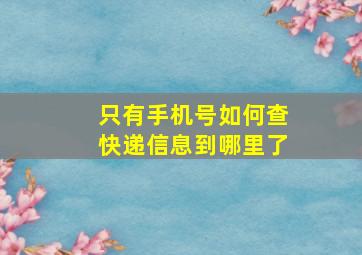 只有手机号如何查快递信息到哪里了