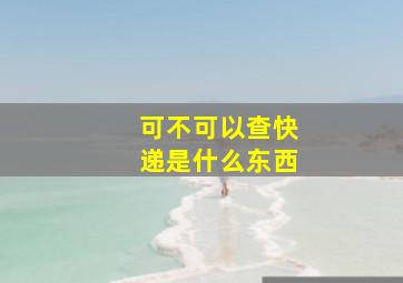 可不可以查快递是什么东西