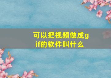 可以把视频做成gif的软件叫什么