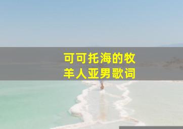 可可托海的牧羊人亚男歌词