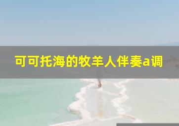 可可托海的牧羊人伴奏a调