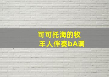 可可托海的牧羊人伴奏bA调