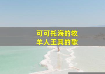 可可托海的牧羊人王其的歌