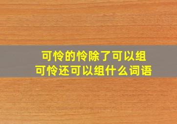 可怜的怜除了可以组可怜还可以组什么词语