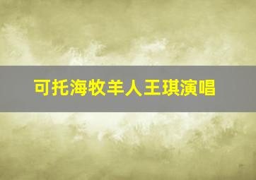 可托海牧羊人王琪演唱