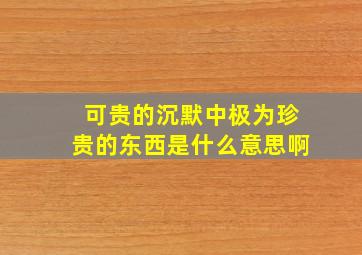 可贵的沉默中极为珍贵的东西是什么意思啊