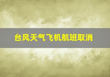 台风天气飞机航班取消