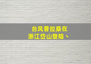 台风普拉桑在浙江岱山登陆丶