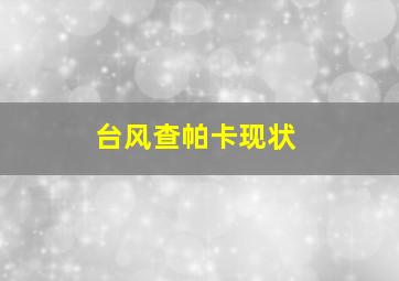 台风查帕卡现状