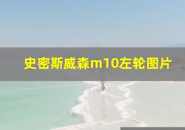 史密斯威森m10左轮图片