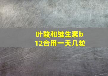 叶酸和维生素b12合用一天几粒