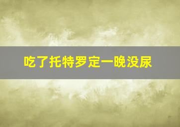 吃了托特罗定一晚没尿