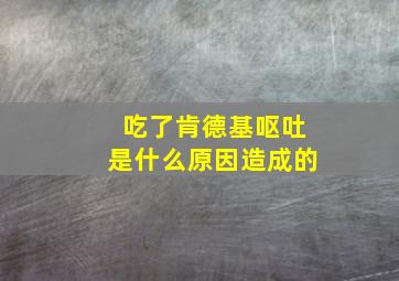 吃了肯德基呕吐是什么原因造成的