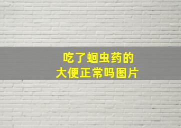 吃了蛔虫药的大便正常吗图片