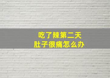 吃了辣第二天肚子很痛怎么办