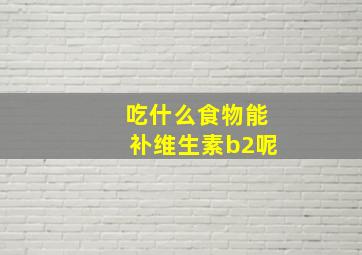 吃什么食物能补维生素b2呢