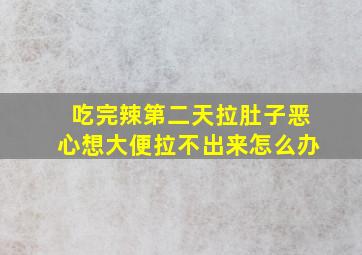 吃完辣第二天拉肚子恶心想大便拉不出来怎么办