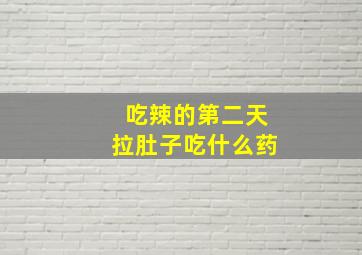 吃辣的第二天拉肚子吃什么药