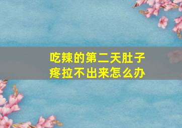 吃辣的第二天肚子疼拉不出来怎么办