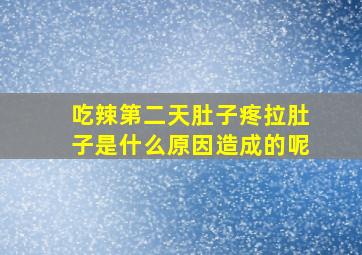 吃辣第二天肚子疼拉肚子是什么原因造成的呢