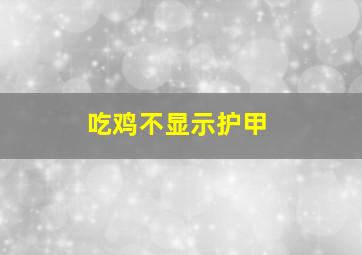 吃鸡不显示护甲