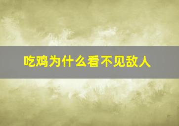 吃鸡为什么看不见敌人