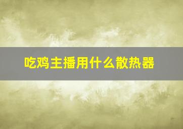 吃鸡主播用什么散热器