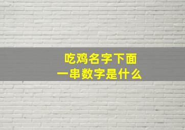 吃鸡名字下面一串数字是什么