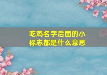 吃鸡名字后面的小标志都是什么意思