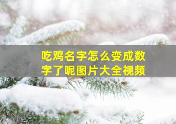 吃鸡名字怎么变成数字了呢图片大全视频