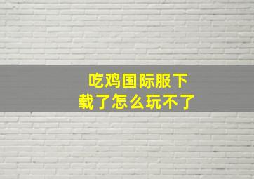 吃鸡国际服下载了怎么玩不了