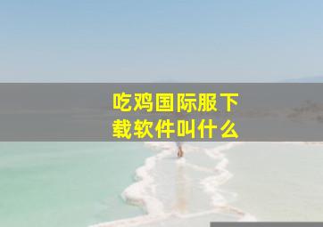 吃鸡国际服下载软件叫什么