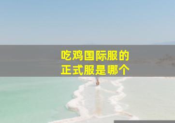 吃鸡国际服的正式服是哪个