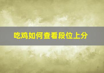 吃鸡如何查看段位上分