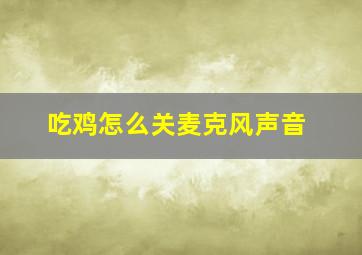 吃鸡怎么关麦克风声音