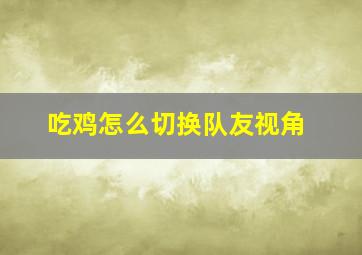 吃鸡怎么切换队友视角