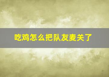 吃鸡怎么把队友麦关了