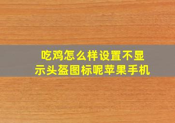 吃鸡怎么样设置不显示头盔图标呢苹果手机