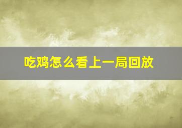 吃鸡怎么看上一局回放