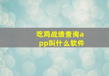 吃鸡战绩查询app叫什么软件