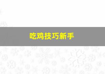 吃鸡技巧新手