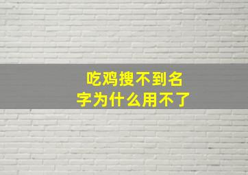 吃鸡搜不到名字为什么用不了