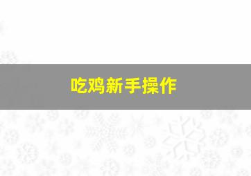 吃鸡新手操作