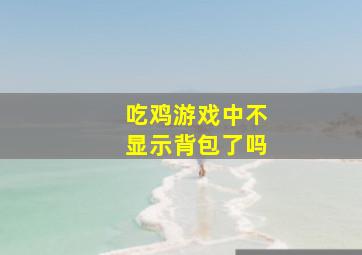 吃鸡游戏中不显示背包了吗