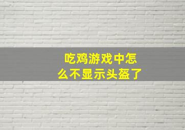 吃鸡游戏中怎么不显示头盔了