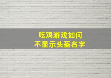 吃鸡游戏如何不显示头盔名字