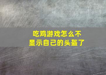 吃鸡游戏怎么不显示自己的头盔了