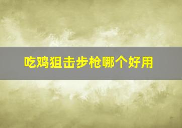 吃鸡狙击步枪哪个好用