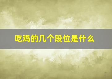 吃鸡的几个段位是什么