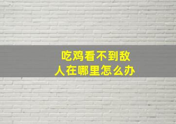 吃鸡看不到敌人在哪里怎么办